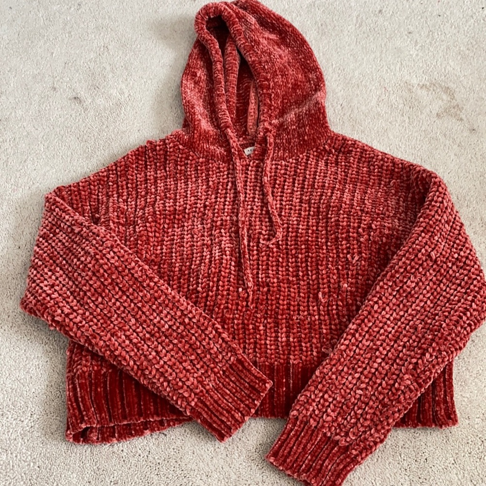 Burnt orange slightly cropped hooded sweater